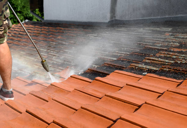 Best Pressure Washing Brick  in Hazel Green, AL