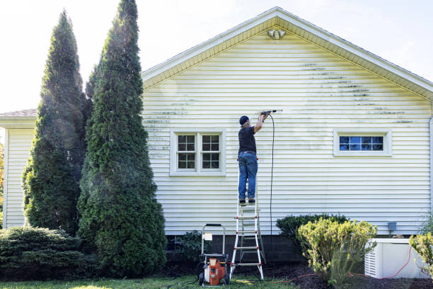 Best Pressure Washing Patio  in Hazel Green, AL