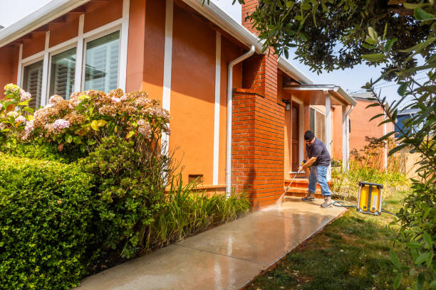 Best Commercial Building Pressure Washing  in Hazel Green, AL